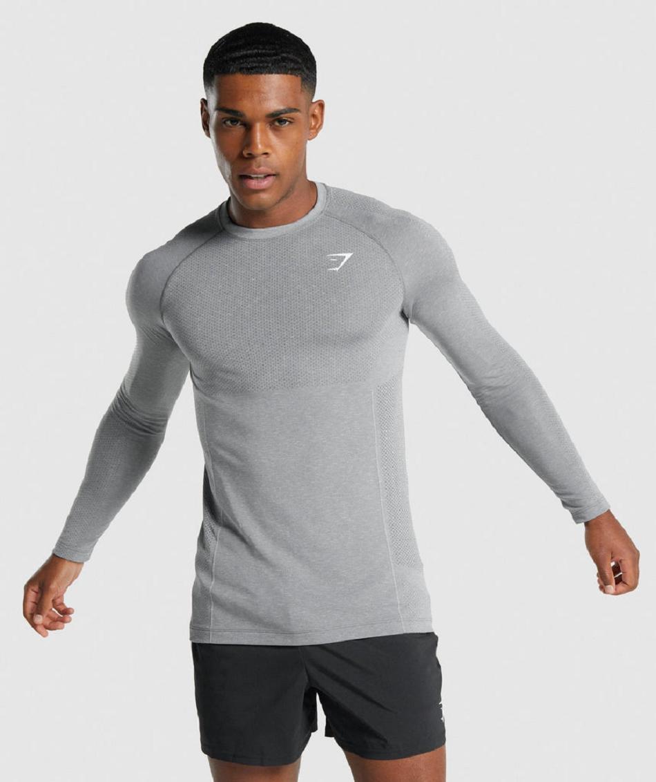 Long Sleeve Męskie Gymshark Vital Light Seamless Szare | PL 3679MQZ